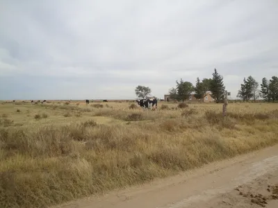 Colonia Menonita Nueva Esperanza, Guatraché: foto 32